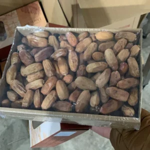 Zemen - Getrocknete Datteln - Dry Dates Gedroogde Dadels 1kg - Image 6
